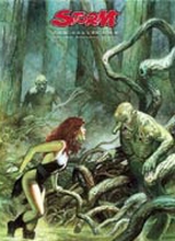 Don Lawrence Collection: Storm - Collected #2: Storm - Collected 2
