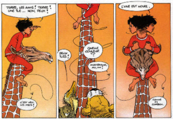 Sample of Nic Sample of Nic